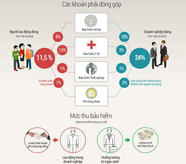Các loại bảo hiểm doanh nghiệp phải đóng